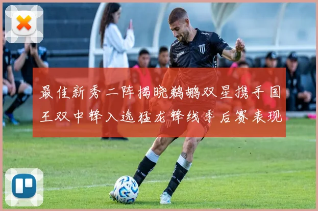 最佳新秀二阵揭晓鹈鹕双星携手国王双中锋入选猛龙锋线季后赛表现抢眼